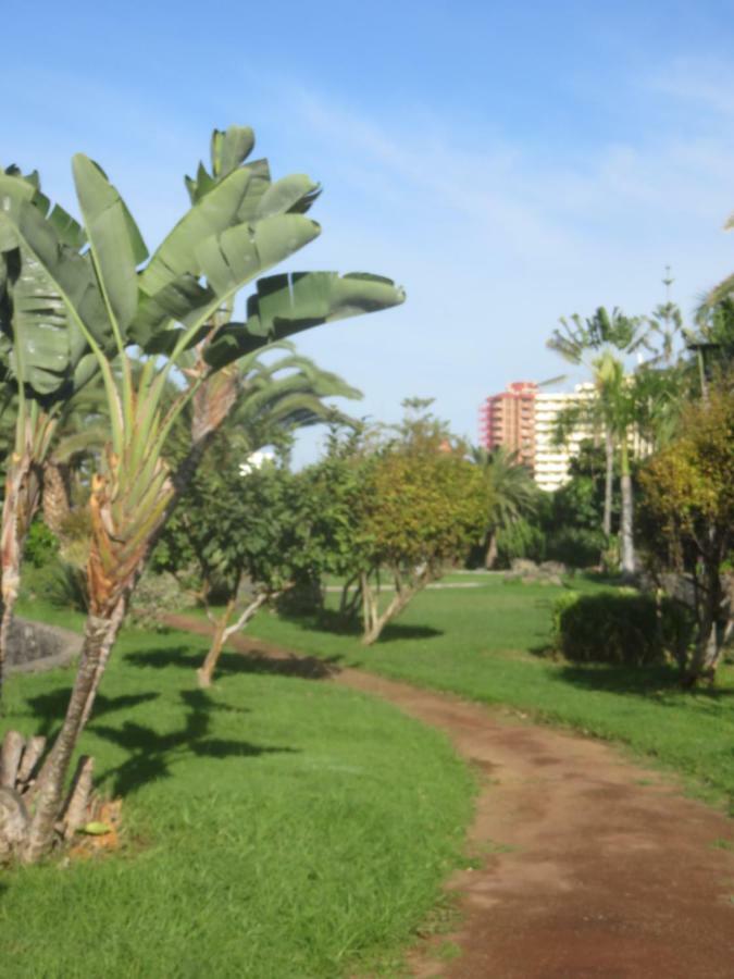 Appartement Céntrico Loft en el Puerto de la Cruz con Wifi y cerca de la playa Extérieur photo